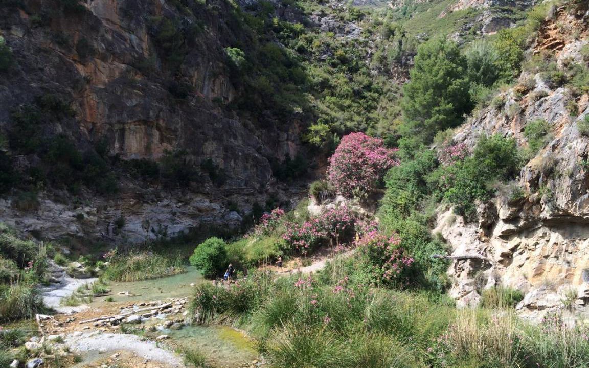 Photo of Others in Orgiva