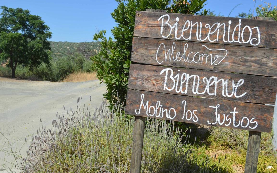 Photo of Others in Algarinejo