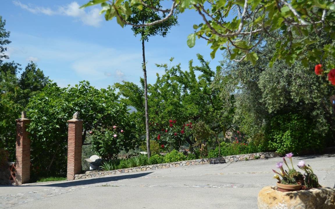 Photo of Outdoor in Nechite