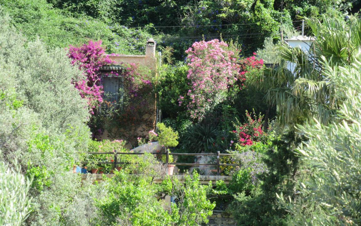 Photo of Others in Agustinos