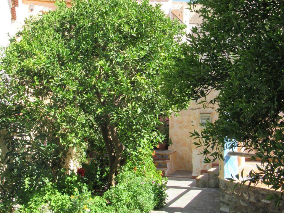 Photo of Others in Orgiva
