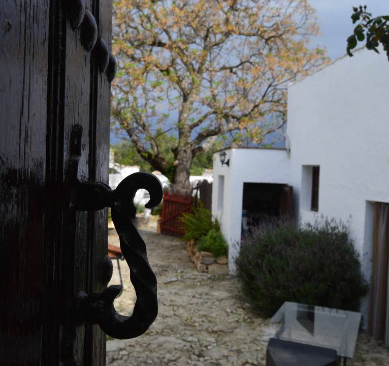 Photo of Others in Algarinejo