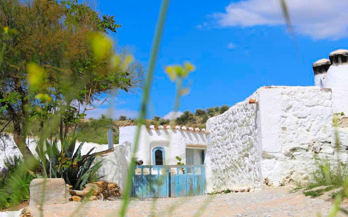 Photo of Others in Baza