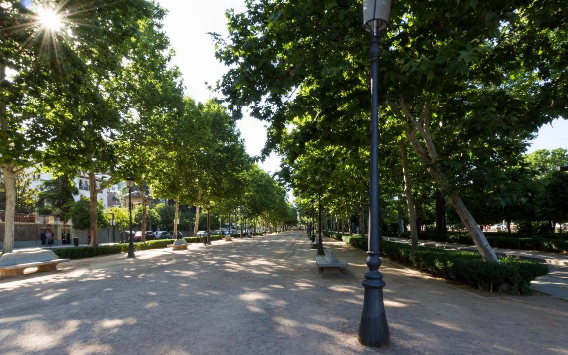 Photo of Others in Granada City Center