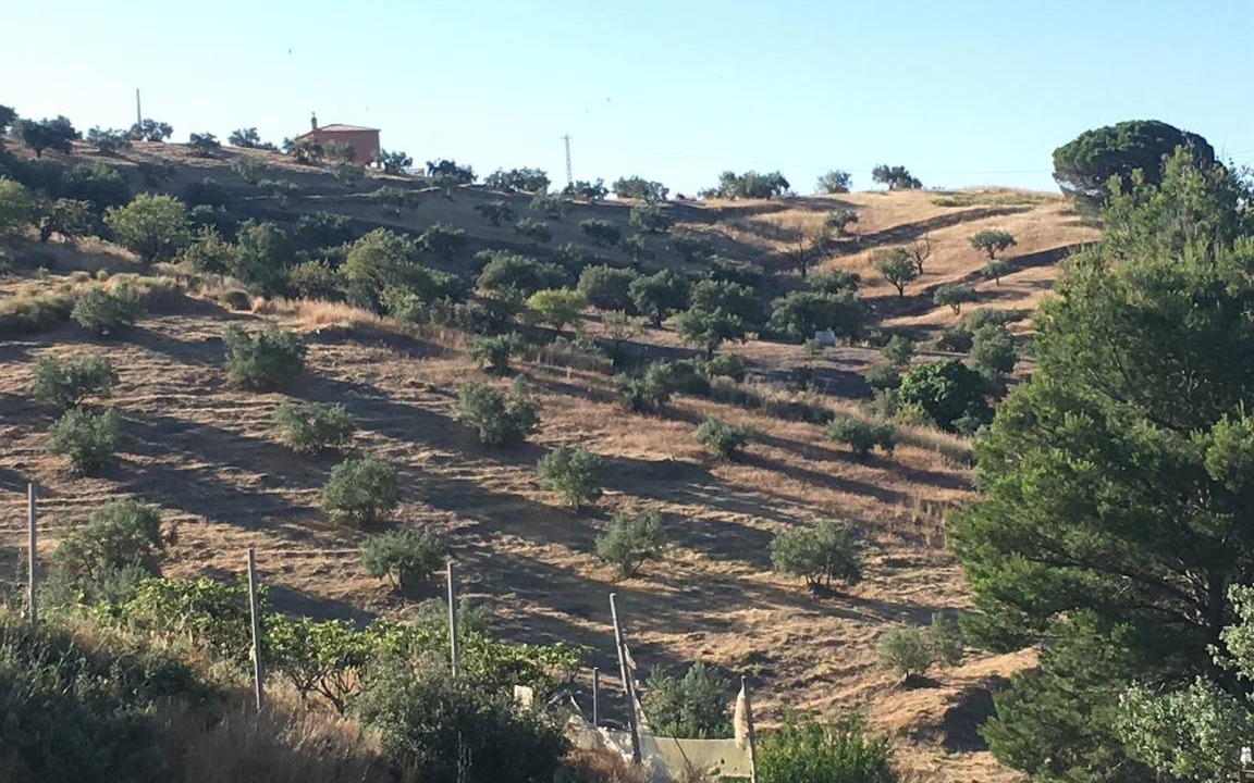 Photo of Others in Almunecar
