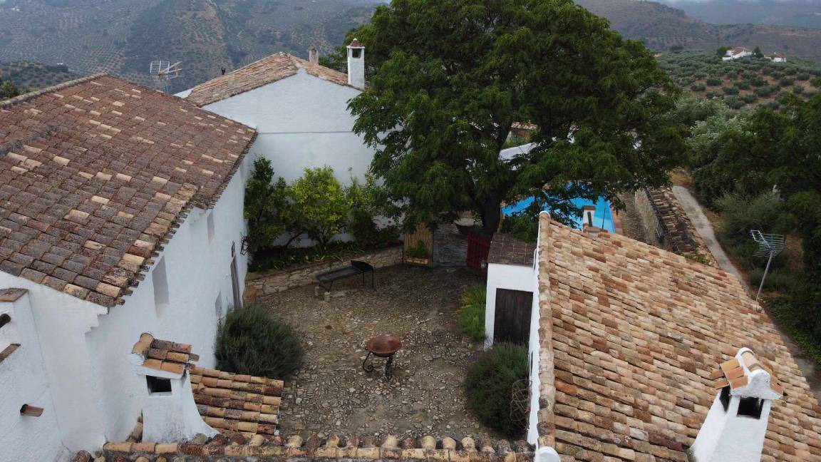 Photo of Others in Algarinejo
