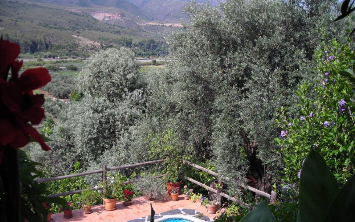Photo of Others in Agustinos