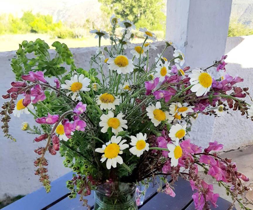 Photo of Patio Balcony in Pitres