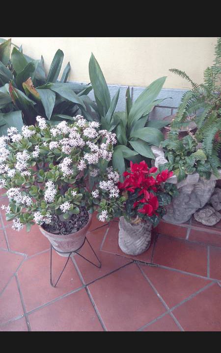 Photo of Patio Balcony in Zaidin