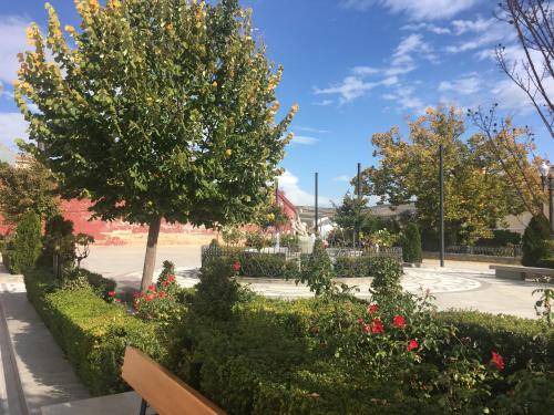 Photo of Others in Alhama de Granada