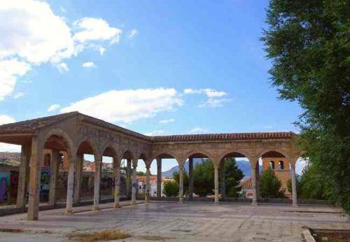 Photo of Others in Baza