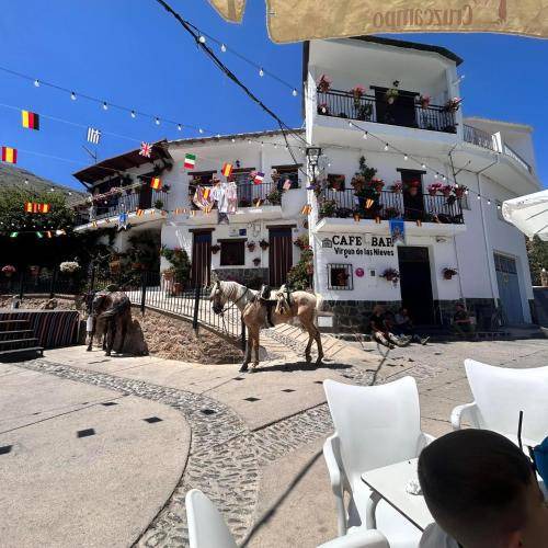 Photo of Others in Trevelez