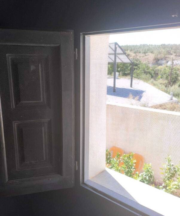 Photo of Others in Baza