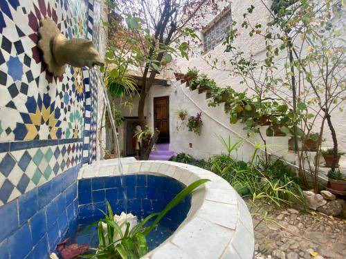 Photo of Others in Sacromonte