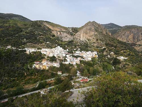 Photo of Others in El Pinar