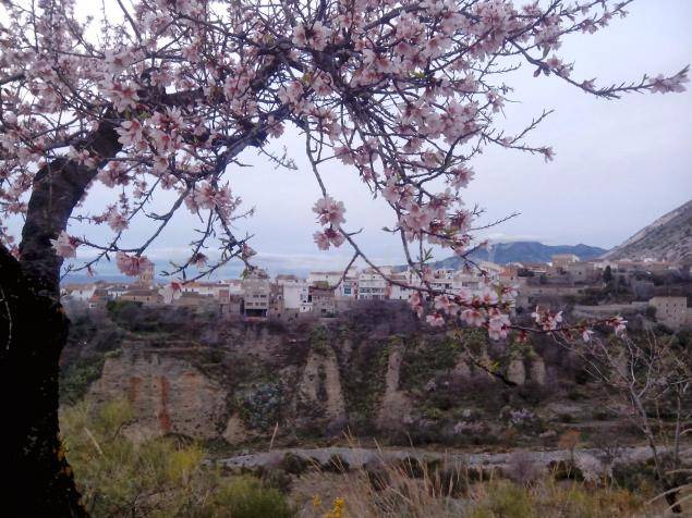 Photo of Others in Niguelas