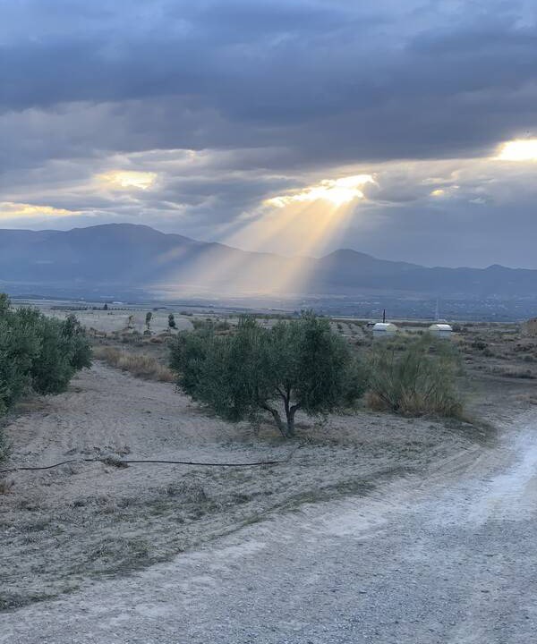 Photo of Others in Baza