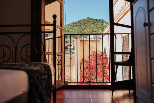 Photo of Patio Balcony in Pinos del Valle