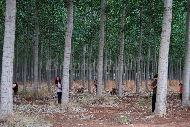 Photo of Others in Pinos Puente