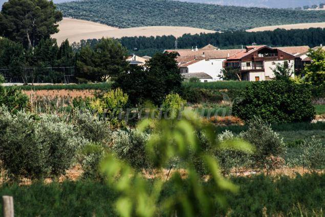 Photo of Others in Pinos Puente