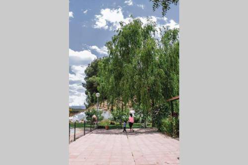 Photo of Others in Alcudia de Guadix