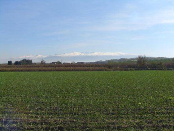 Photo of Others in Pinos Puente