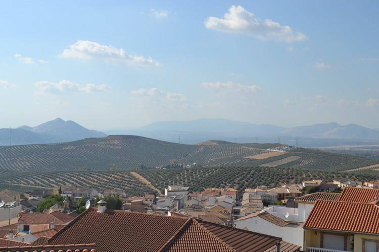 Photo of Others in Guevejar