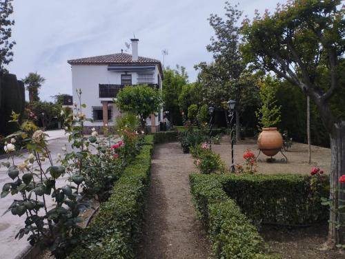 Photo of Others in Camino de Ronda