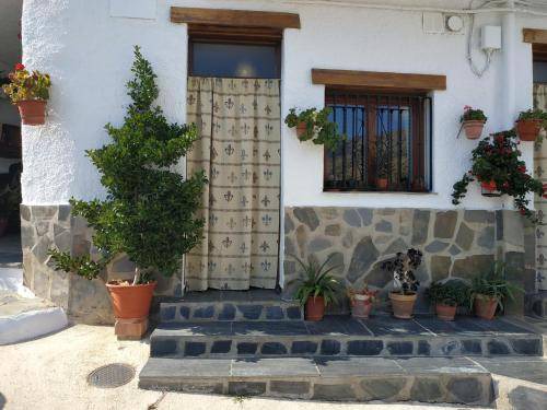 Photo of Others in Trevelez