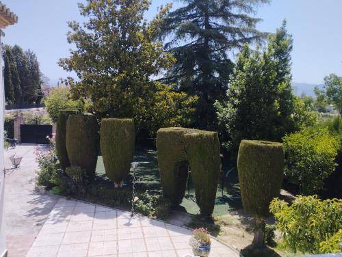Photo of Others in Camino de Ronda