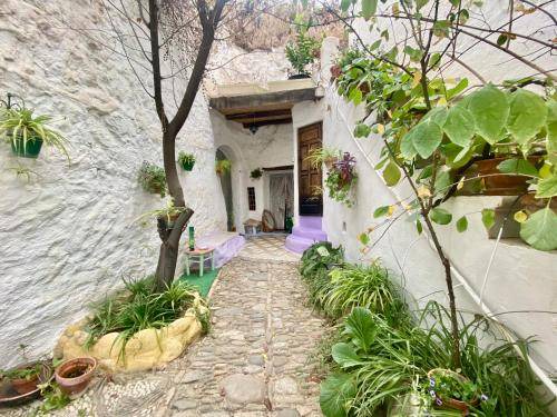 Photo of Others in Sacromonte
