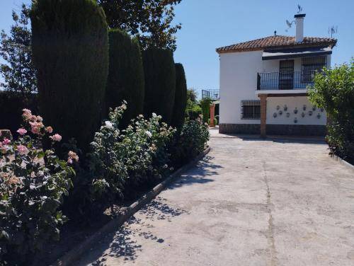 Photo of Others in Camino de Ronda