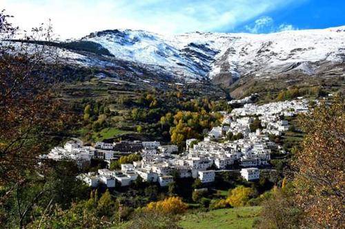 Photo of Others in Trevelez