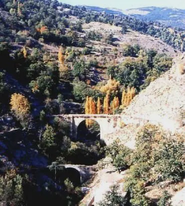 Photo of Others in Mecina Bombaron