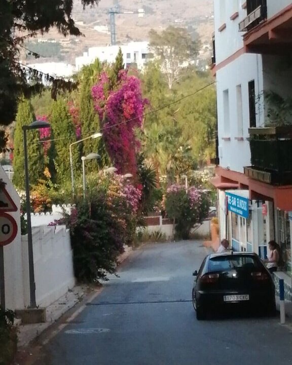 Photo of Others in Velilla-Taramay