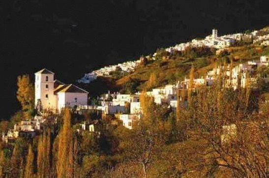 Photo of Others in Capileira