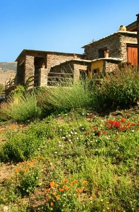 Photo of Buildings in Capileira