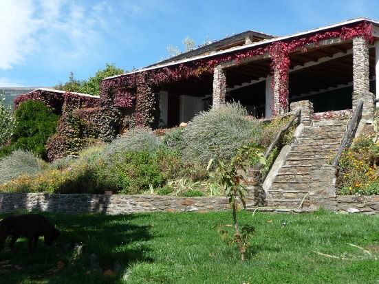 Photo of Buildings in Capileira