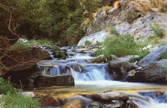 Photo of Others in Capileira