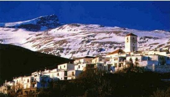Photo of Buildings in Capileira