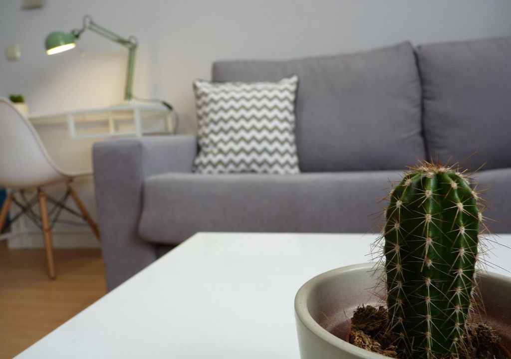 Photo of Livingroom in Camino de Ronda
