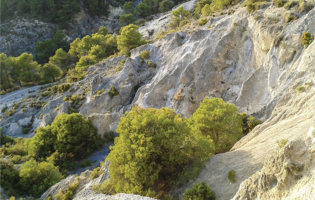Photo of Outdoor in Padul