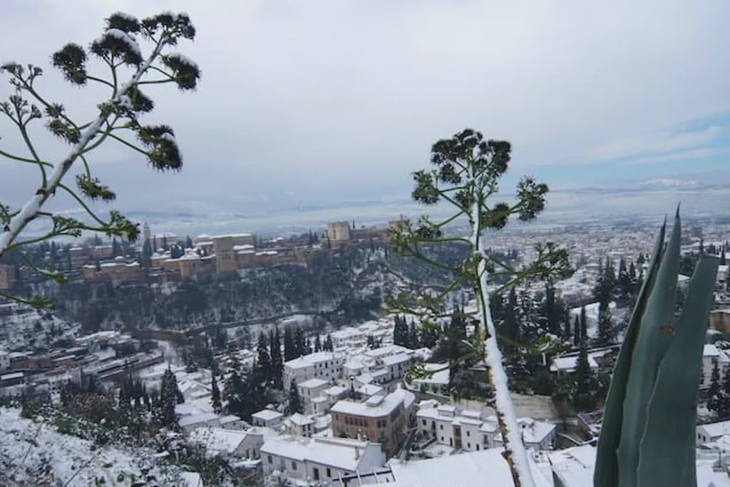 Photo of Others in Albaicin