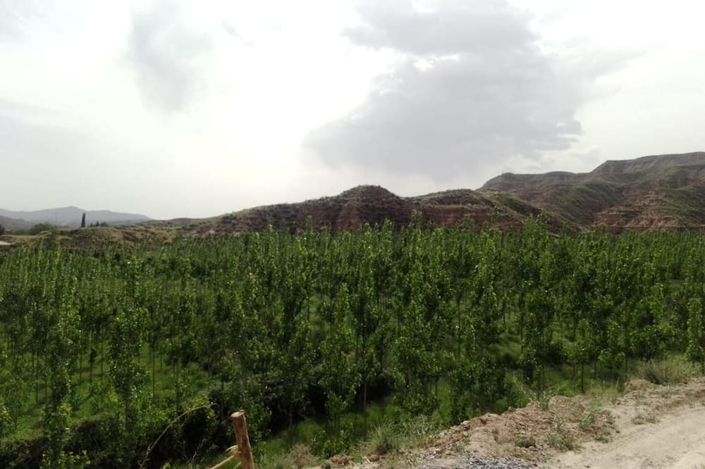 Photo of Others in Purullena