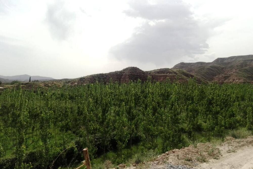 Photo of Others in Purullena