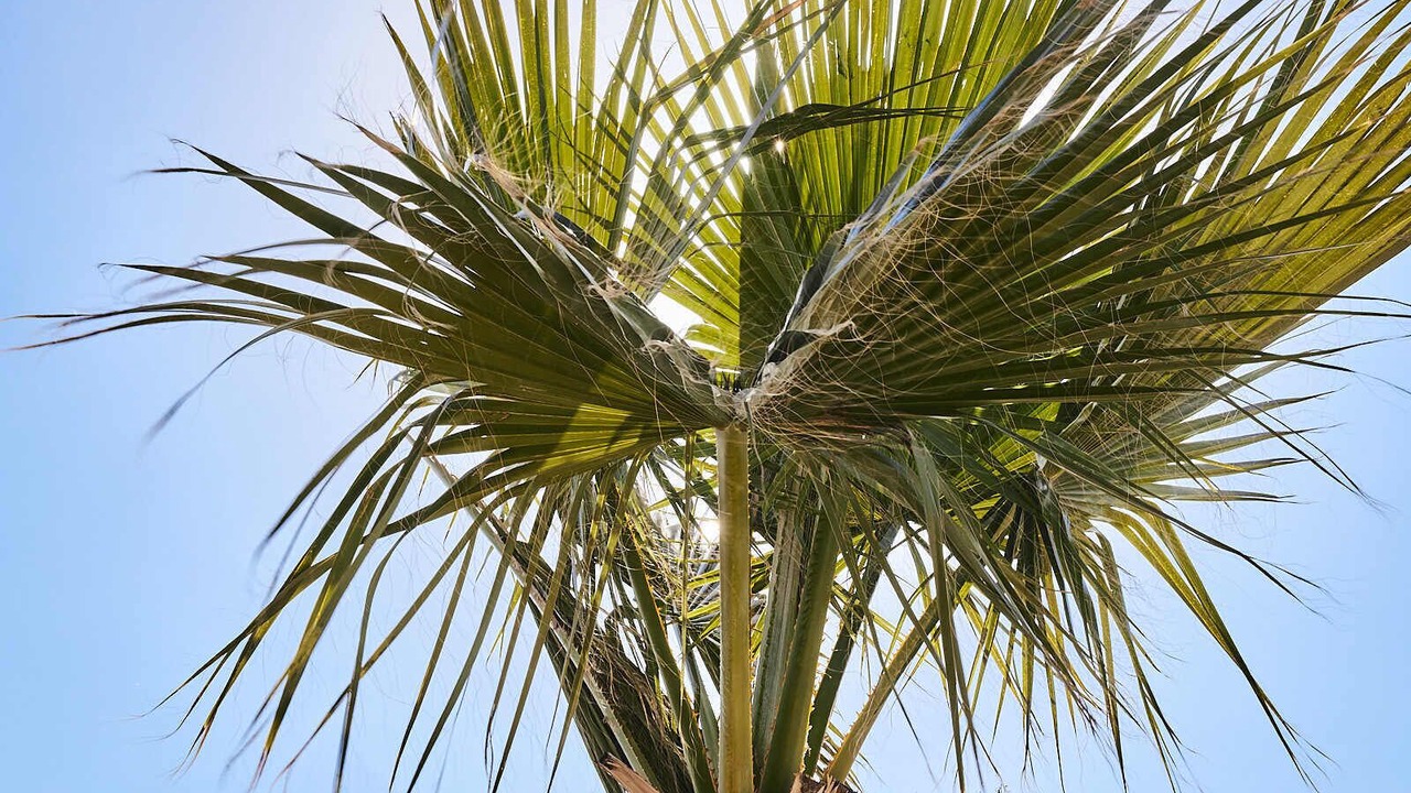 Photo of Outdoor in Salar