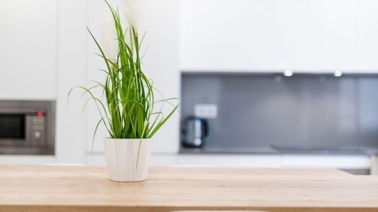 Photo of Kitchen in Camino de Ronda
