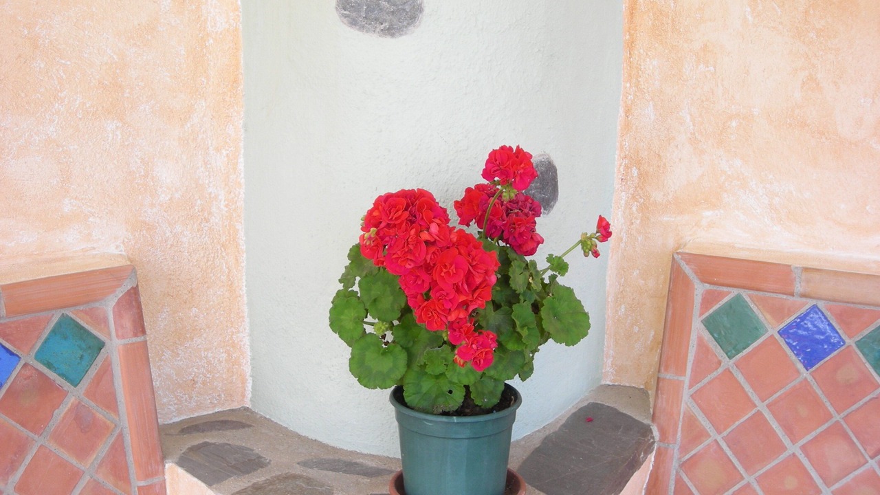 Photo of Outdoor in Guajar Faraguit
