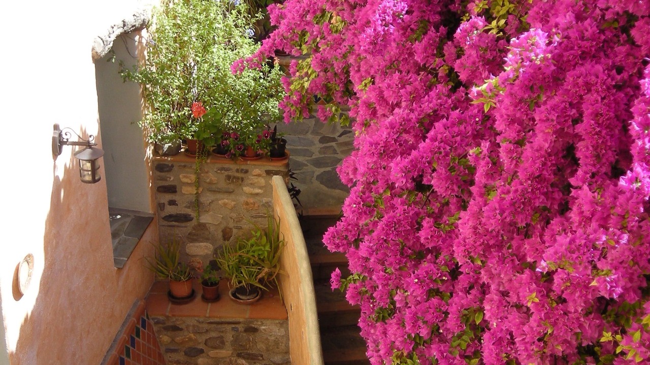 Photo of Outdoor in Guajar Faraguit