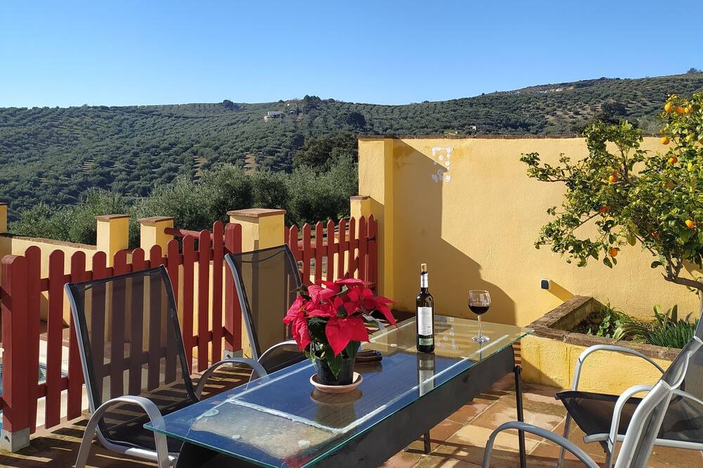 Photo of Others in Algarinejo